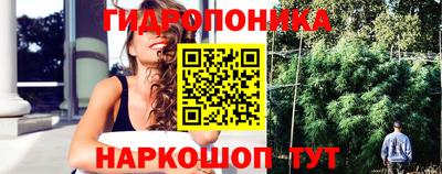 мяу мяу мука Когалым