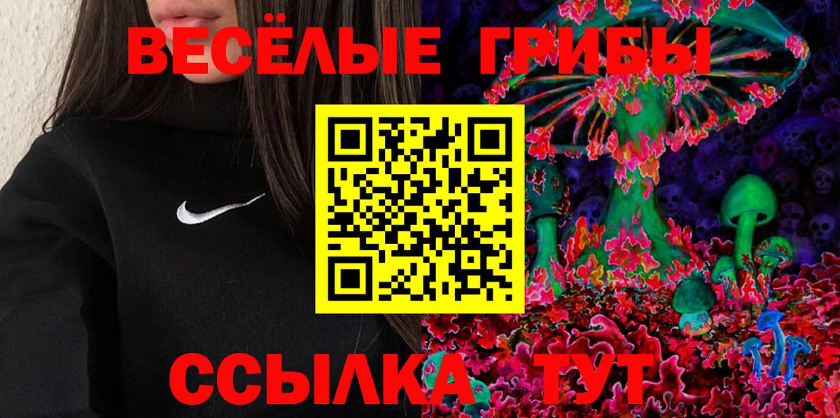 Губаха  Галлюциногенные грибы Psilocybine cubensis  Вход с VPN 