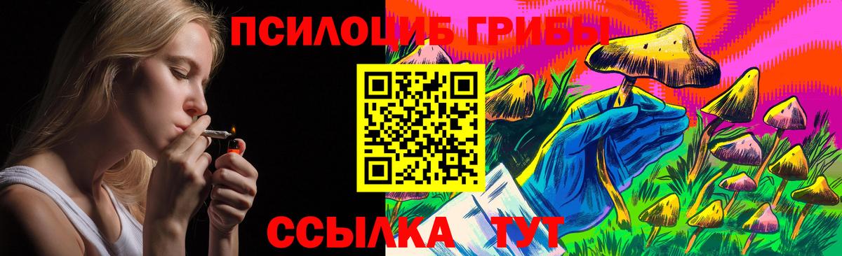 Псилоцибиновые грибы мицелий Губаха